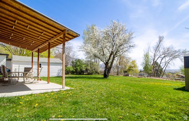 View of yard with a patio area | Image 22