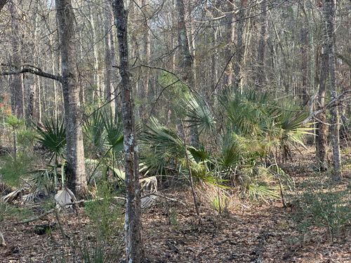 lot-2-0 Cooke Rd, Johns Island, SC, 29455 | Card Image