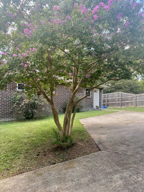 197 Hicks Rd, Nashville, TN, 37221-3401 | Card Image