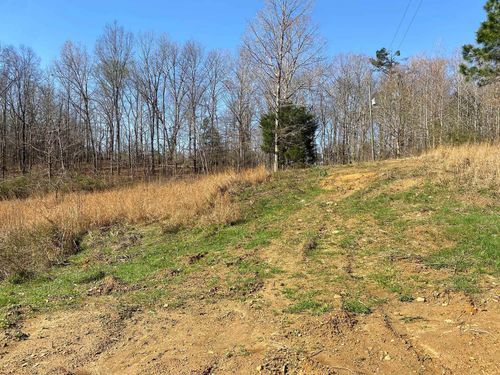 65 Amelia Breann Ln, Selmer, TN, 38375-3235 | Card Image
