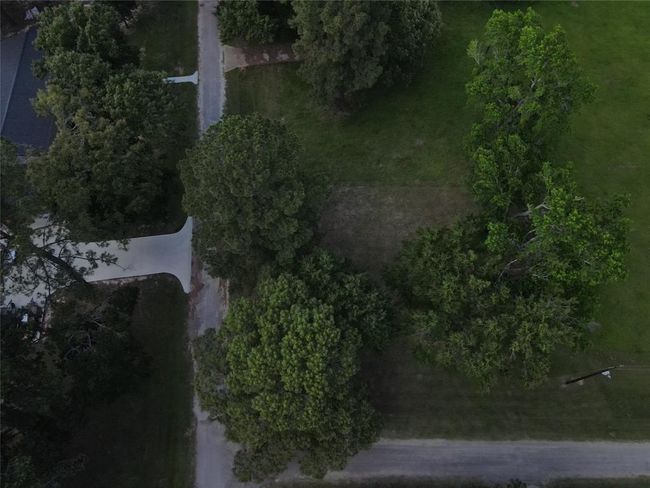 3 Hermitage, Home with 0 bedrooms, 0 bathrooms and null parking in Trinity TX | Image 5