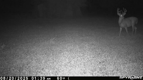 V/L Blake Road, Blackman Charter Township, MI, 49201 | Card Image