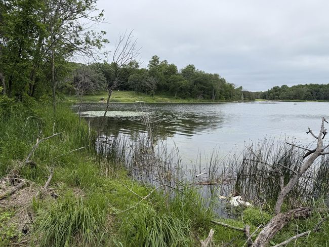 thumbnail_IMG_5670.jpg | Image 16