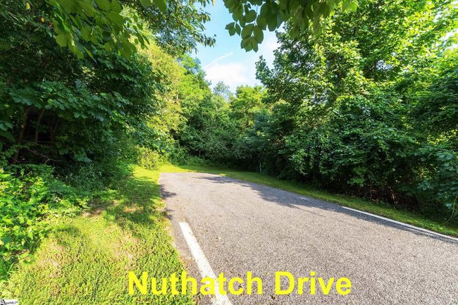 39 Raptor Way, Home with 0 bedrooms, 0 bathrooms and null parking in Landrum SC | Image 30