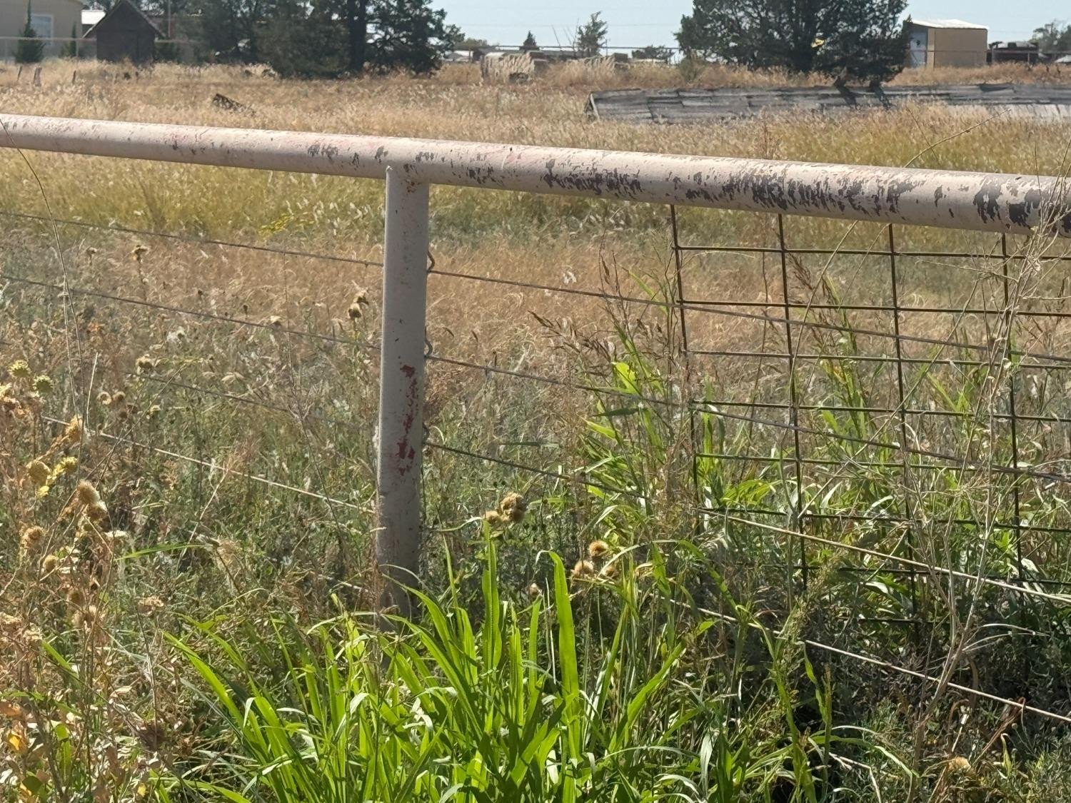 Farm in New Deal 4