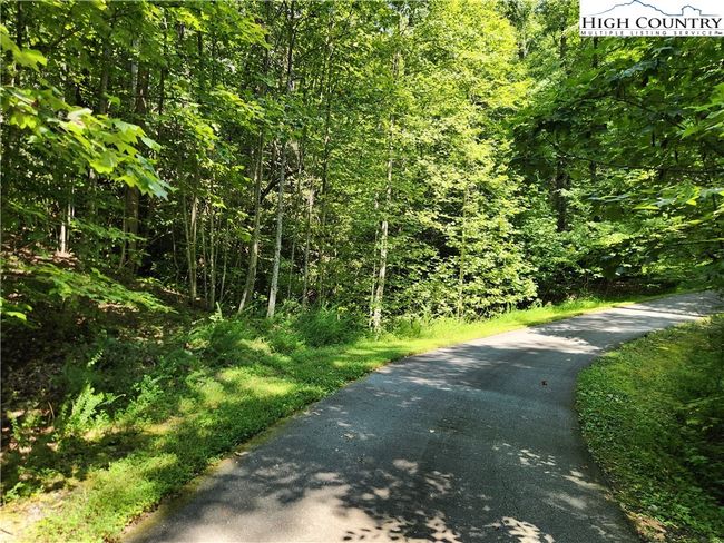 25 - 301 Bear Track Ln, Home with 0 bedrooms, 0 bathrooms and null parking in Lenoir NC | Image 4