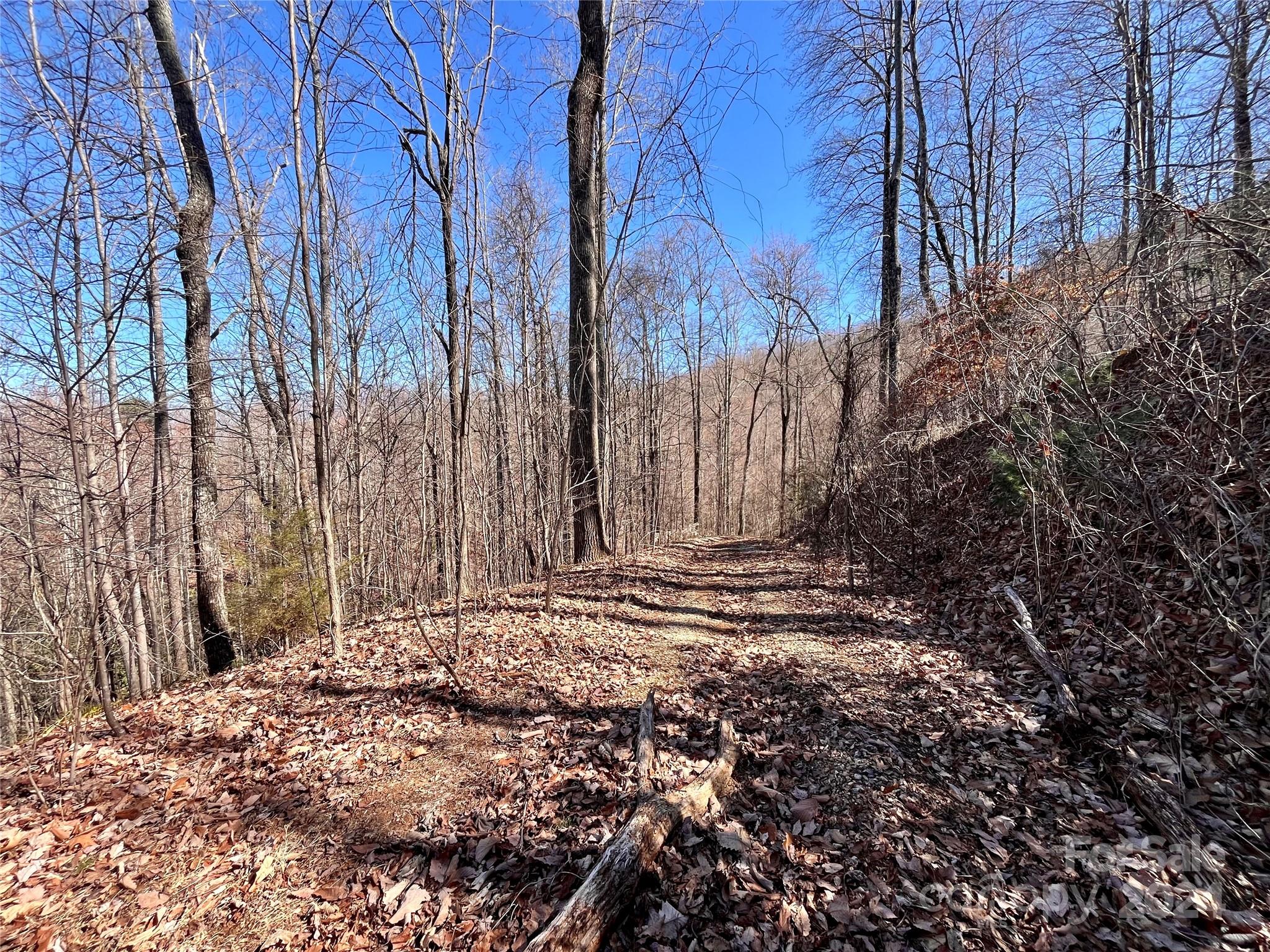 Land in Marion 5