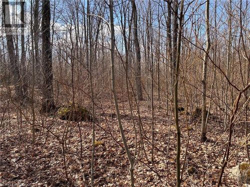 24 Big Rock Rd, Shallow Lake, ON, N0H2K0 | Card Image