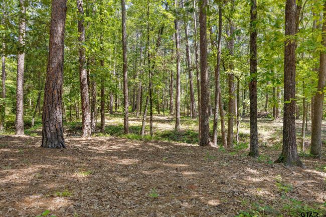 18076 Deer Trl, House other with 4 bedrooms, 5 bathrooms and null parking in Flint TX | Image 44