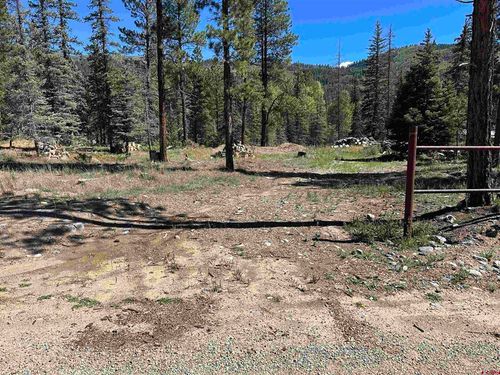 264 Ponderosa Homes Rd, Bayfield, CO, 81122-9212 | Card Image