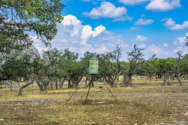 436 Stevens Ranch Rd, Home with 0 bedrooms, 0 bathrooms and null parking in Harper TX | Image 4