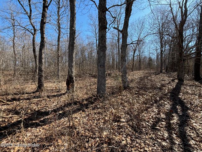 2701 Hardesty Raymond Rd, Home with 0 bedrooms, 0 bathrooms and null parking in Webster KY | Image 27