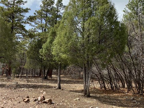 1754 Blk 2 Lot 24, Chama, NM, 87520 | Card Image
