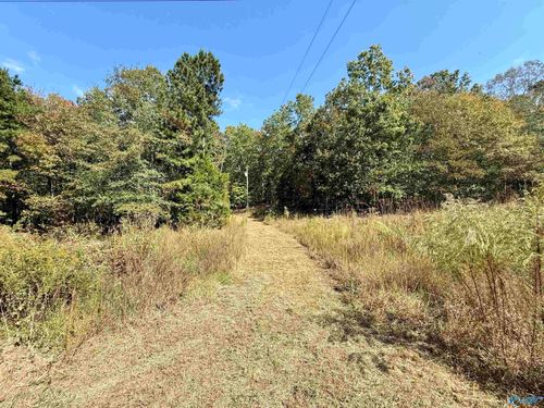 400 County Road 915, Leesburg, AL, 35983-4852 | Card Image