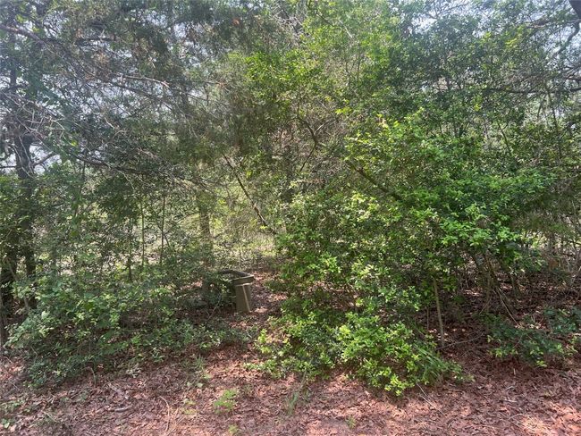 330 Powell Rd, Home with 0 bedrooms, 0 bathrooms and null parking in Smithville TX | Image 12