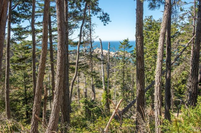 34601 S Highway 1 None, House other with 0 bedrooms, 0 bathrooms and 4 parking in Gualala CA | Image 18