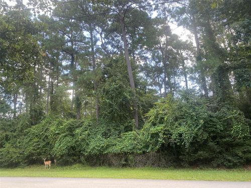 22922 Blackgum Dr, Magnolia, TX, 77355-3919 | Card Image