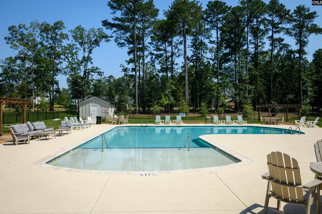 812 Elms Spinney Ln, Home with 0 bedrooms, 0 bathrooms and null parking in Chapin SC | Image 5