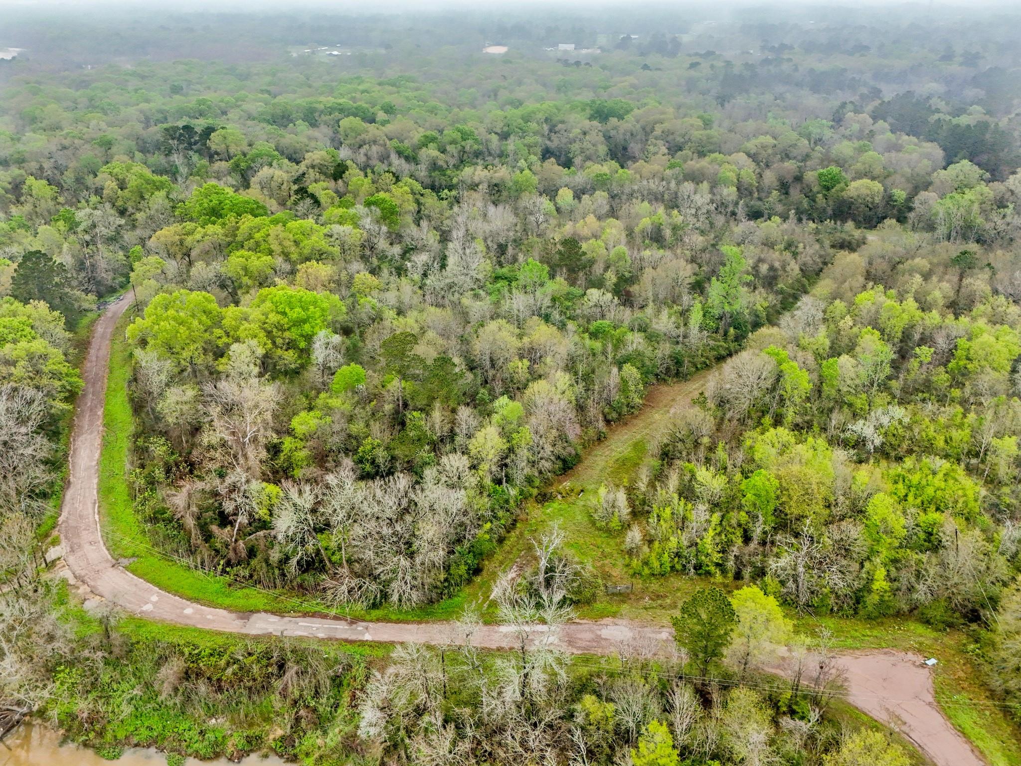 Land in Conroe 3