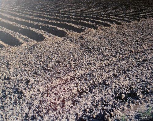 Mile 14 N Roosevelt Rd, Donna, TX, 78537 | Card Image