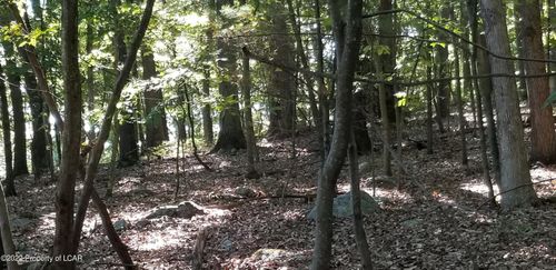 007 Raeder Ave, Nuangola, PA, 18707-9588 | Card Image