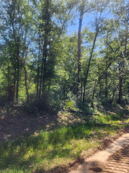 01 Cindy Ln, Shepherd, TX, 77371-2083 | Card Image