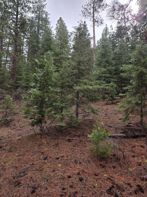 lot-1-0 E Yak Ln, Bonanza, OR, 97623 | Card Image