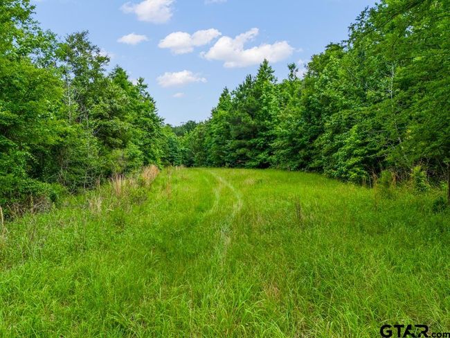 3536 &amp; TBD Cr 1579, Home with 4 bedrooms, 3 bathrooms and null parking in Avinger TX | Image 15