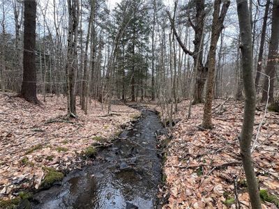 0 Mud Road, Home with 0 bedrooms, 0 bathrooms and null parking in Laurens NY | Image 2