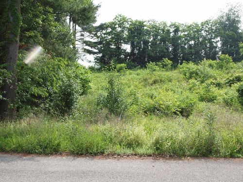 0 Quintana St, Bristol, VA, 24202 | Card Image