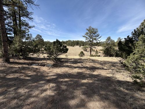 262 Harmon Dr, Texas Creek, CO, 81223 | Card Image