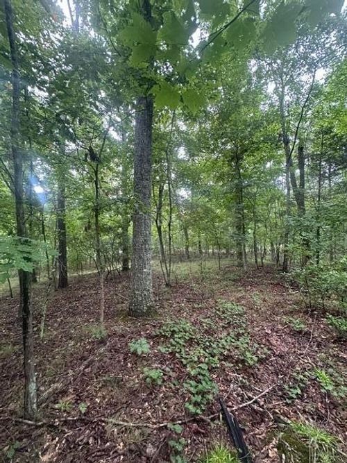 108 Chesadu Circle Circle, South Pittsburg, TN, 37380 | Card Image