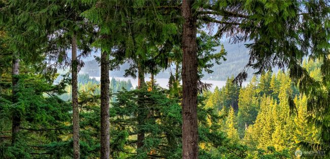 Come make this view yours! | Image 40