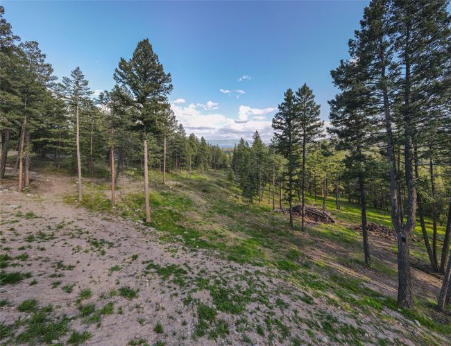 View of landscape featuring a wooded view | Image 56