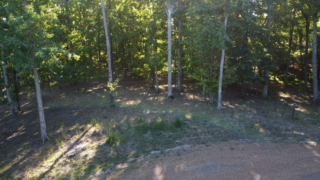 0 Myers Point Rd, Home with 0 bedrooms, 0 bathrooms and null parking in Sewanee TN | Image 7