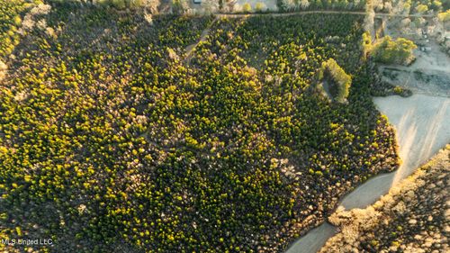 3885 Attala Road 4153, Sallis, MS, 39160-5324 | Card Image