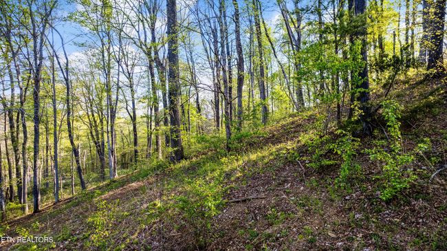 39 Apple Tree Dr, Home with 0 bedrooms, 0 bathrooms and null parking in Clinton TN | Image 6