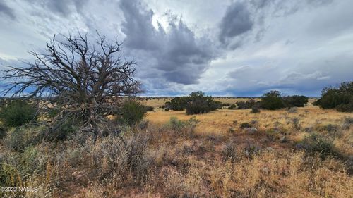 51848381 S Starlit Trl & W Shingle Oak, Williams, AZ, 86046 | Card Image