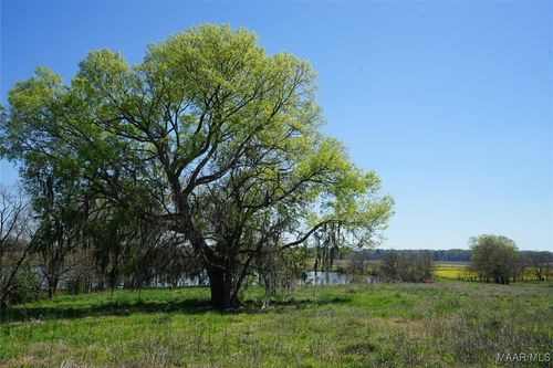 9445 Woodley Rd, Ramer, AL, 36069 | Card Image