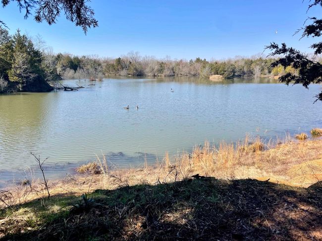 000 Brewer Rd, Home with 0 bedrooms, 0 bathrooms and null parking in Conway AR | Image 40