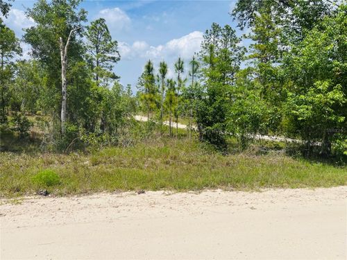 0000 Ne 132 Terrace Terrace, Williston, FL, 32696 | Card Image