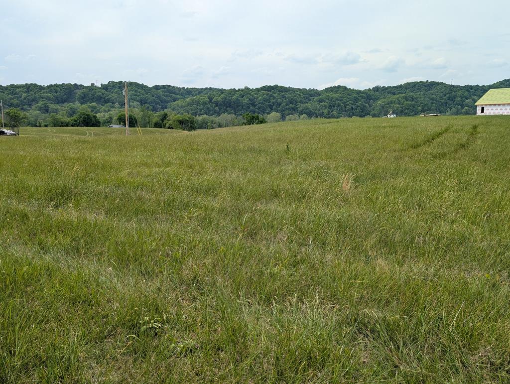 Land in Burkesville