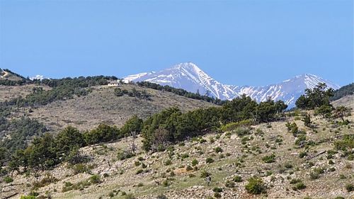 56 Kit Carson Ln, Cotopaxi, CO, 81223 | Card Image