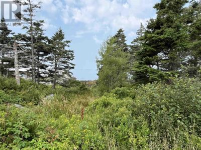 6659 Highway 3, House other with 3 bedrooms, 1 bathrooms and null parking in Lower Woods Harbour NS | Image 3