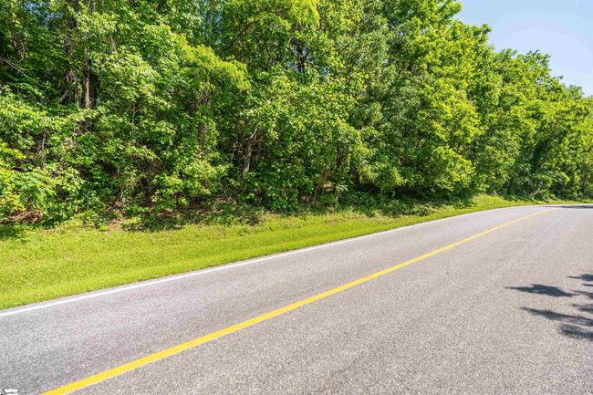 33 Raptor Way, Home with 0 bedrooms, 0 bathrooms and null parking in Landrum SC | Image 7