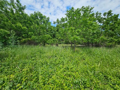000 State Highway K, Everton, MO, 65646 | Card Image