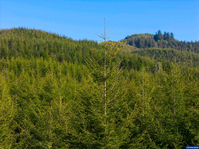 0 Elmer Miller Rd, Home with 0 bedrooms, 0 bathrooms and null parking in Siletz OR | Image 11