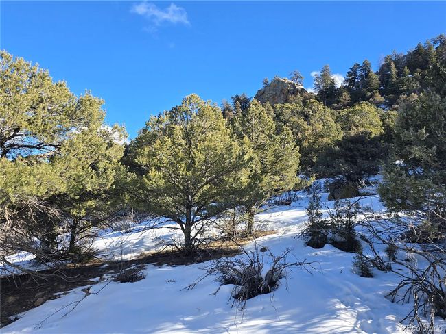 824 Shoshone Dr, Home with 0 bedrooms, 0 bathrooms and null parking in Canon City CO | Image 12