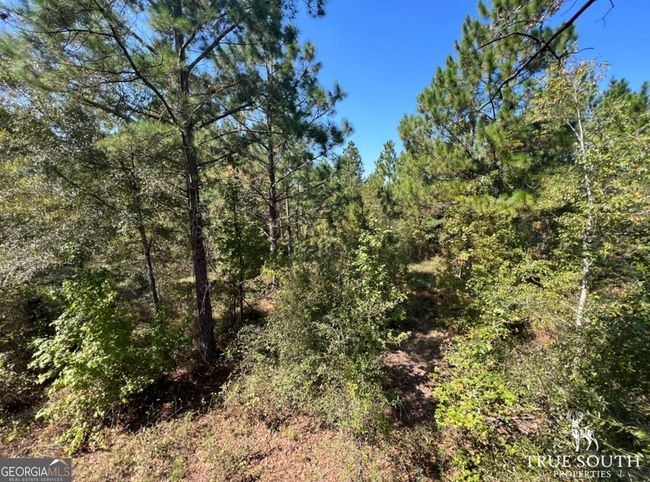 0 John S Horton Rd, Home with 0 bedrooms, 0 bathrooms and null parking in Adrian GA | Image 9