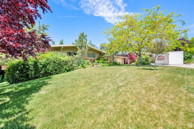 View of grassy yard | Image 36